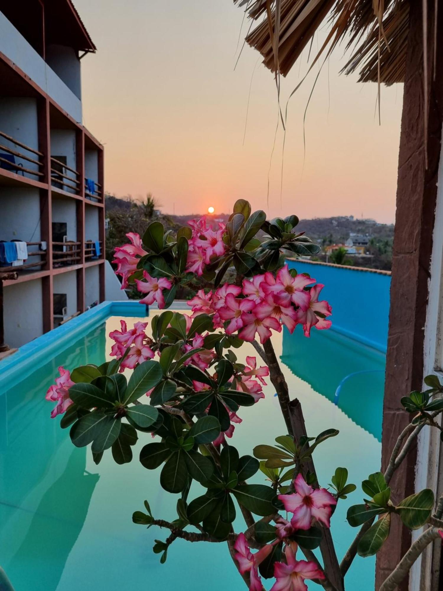 Namaste Zipolite Suites Екстериор снимка